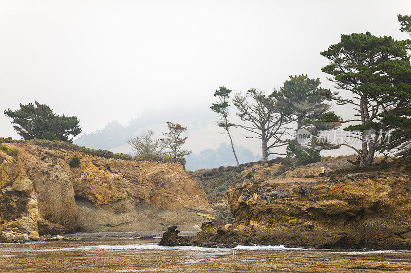 蒙特雷的Point Lobos州立自然保护区
